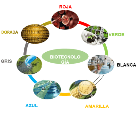 Biotecnología Áreas